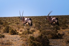 dimitar-meddling-JqoYkDUXIu8-unsplash