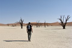 vicky-sim-_XPtCafWkr0-unsplash