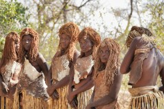 datingjungle-rIlk_cJk2a8-unsplash