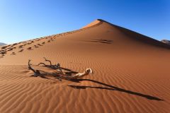 large_kalahari-namibia-shutterstock_259997429_e11e38f3c0