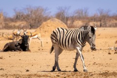 andreas-vonlanthen-VYWVVwmfxMY-unsplash