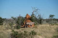 andreea-munteanu-AOrMDddCzYA-unsplash