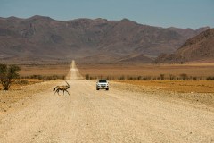 birger-strahl-vsHEXpJ5Db8-unsplash