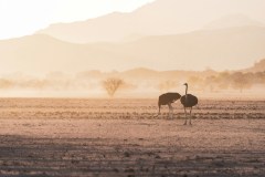 eelco-bohtlingk-6dhyiH6EVRg-unsplash