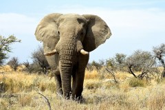 heloise-delbos-IdCvQLyCubg-unsplash