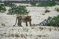 m_oros-C-XTBTuTHME-unsplash