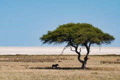 sam-power-1MIfdlsqcso-unsplash