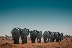 sergi-ferrete-YXwt-vJ3szA-unsplash