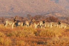 timtom-ZqGx4YoDrIE-unsplash