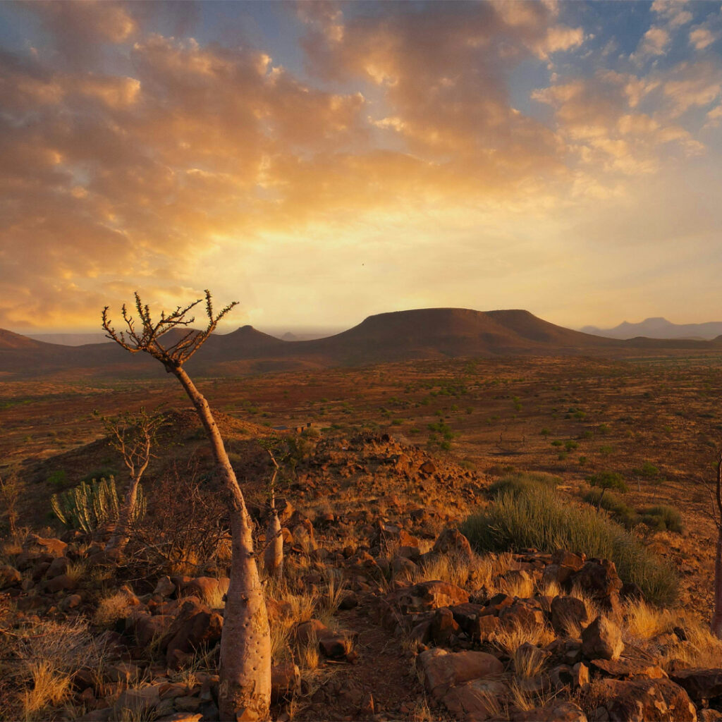 sean-robertson-7mTPsj23QVs-unsplash