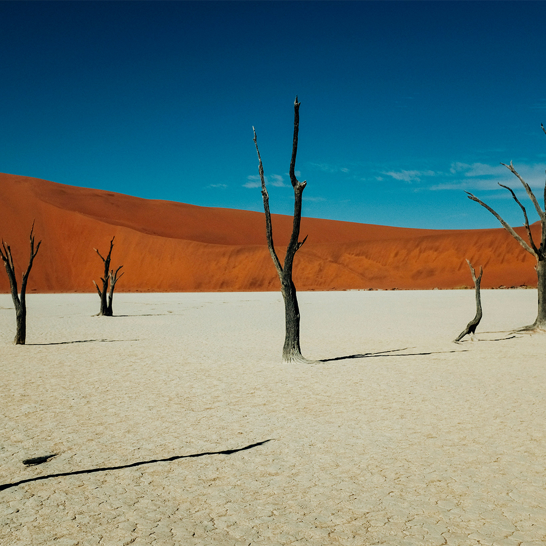 Sossusvlei & Namib Desert