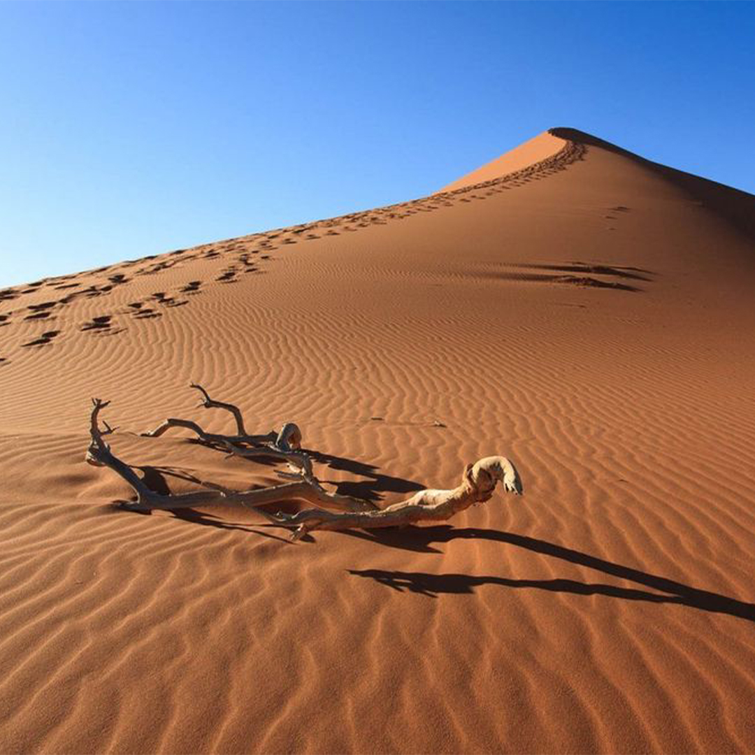 Kalahari & Southern Namibia