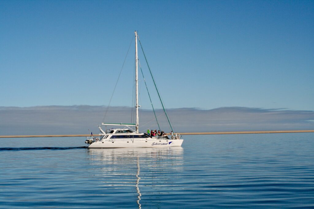 amir-mortezaie-XDdg4l240mo-unsplash