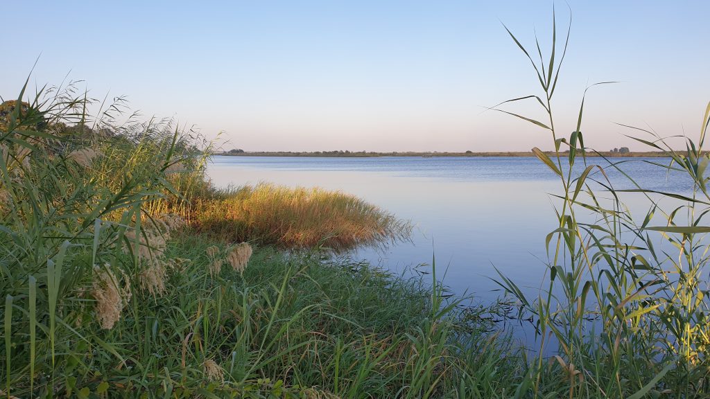 20210619_074755-1024x576