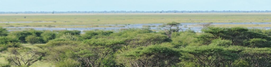 2021_Kaza_Responsive_1280x320