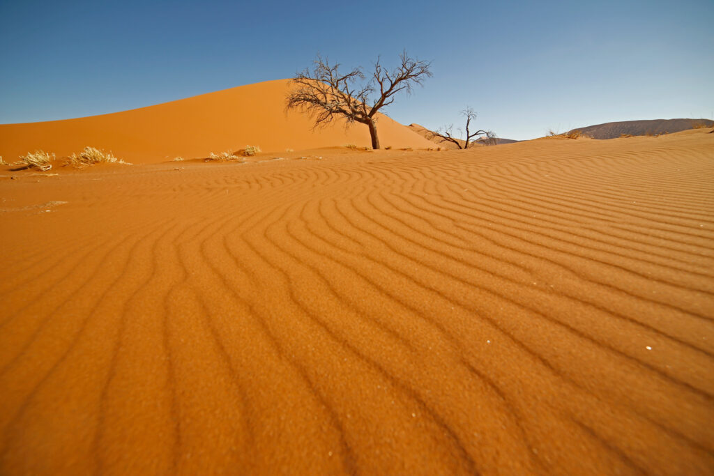 Endless-Horizons-Hardap_015