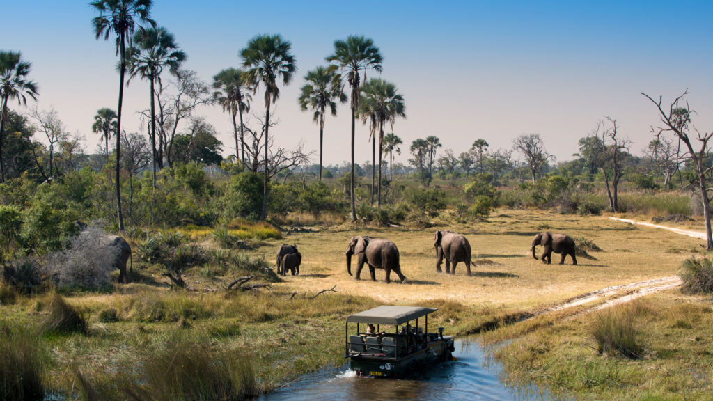 Herd-of-Elephants-walking-while-guests-cross-channel-on-a-Safari-Game-Drive-in-Botswana