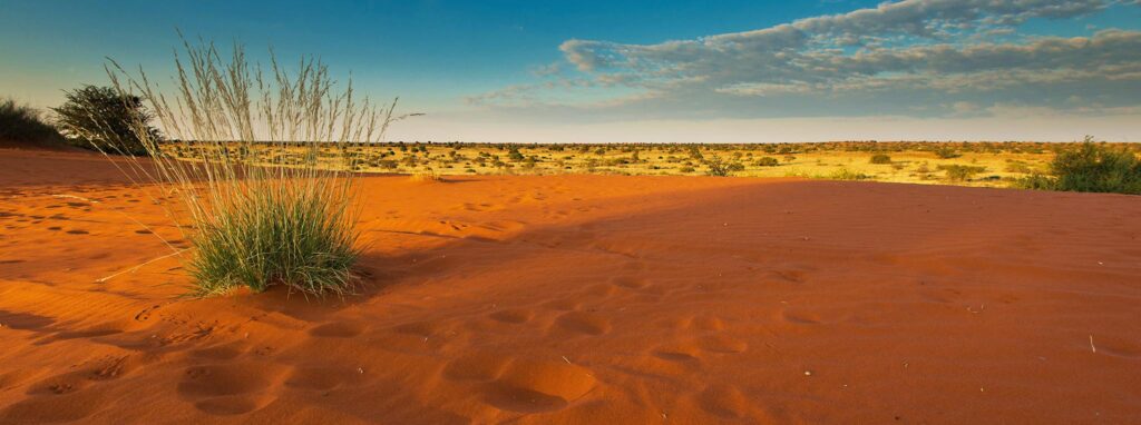 kalahari-red-dunes-namibia