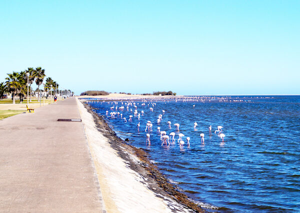 lagoon-walvis-bay-2