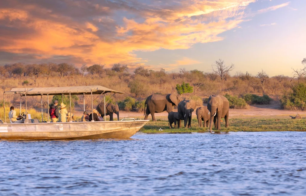 landingpage-safaris-botswana-elephant-during-motor-cruise-conscious-explorer