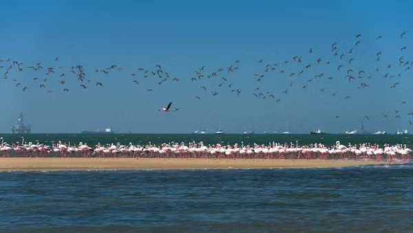 WhatsApp Image 2026-04-10 at 12.35.41 AM