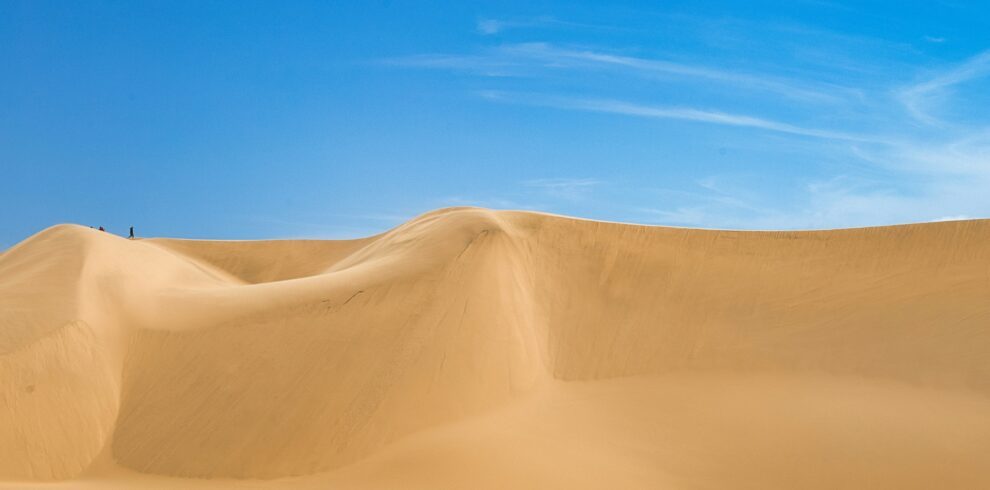 david-lartey-NHfXLYhYOi8-unsplash