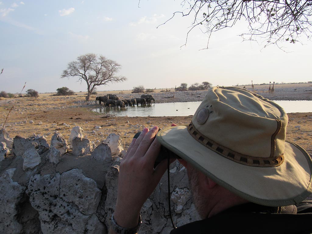 game-viewing